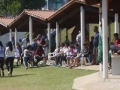 1 de maio 2016 (598)