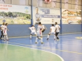11 festival de futsal Dez 2016