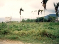 colonia 1