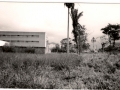 colonia 5